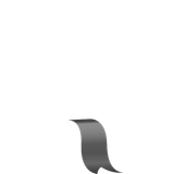 player bottom ribbon
