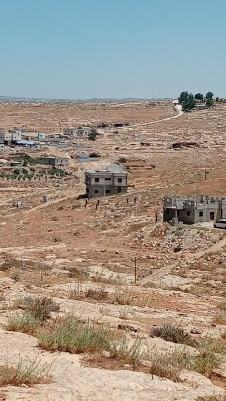 صورة الخبر