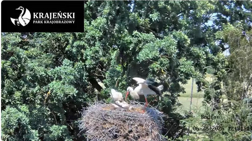 MWSnap042.jpg