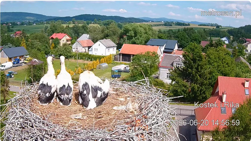 MWSnap086.jpg