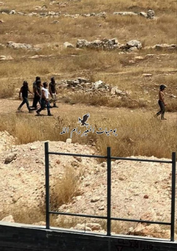 صورة الخبر