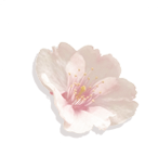 mmexport1781976058299.png