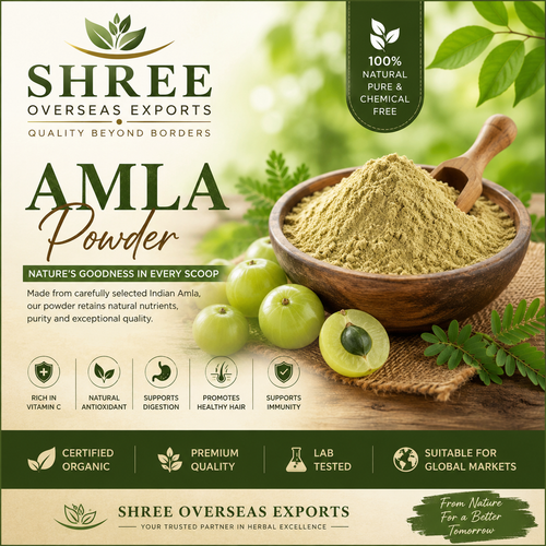 Premium Amla Powder Manufacturer Delivering Quality for Global Industries.png