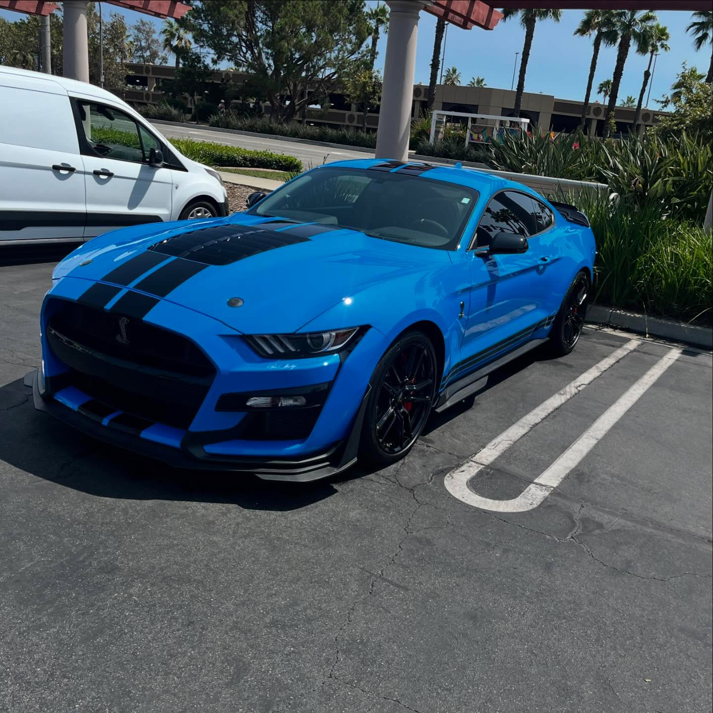 Freshly detailed car