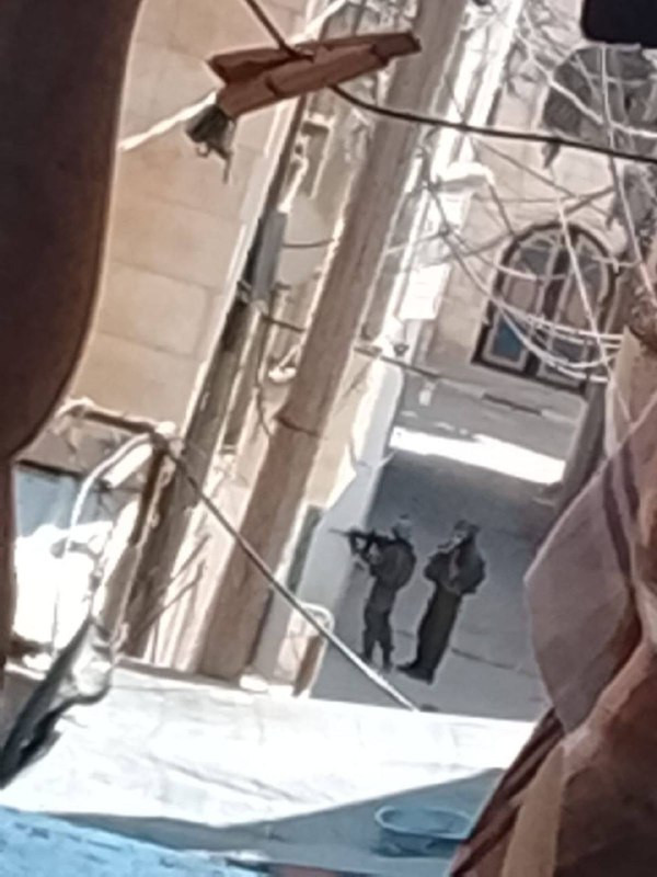 صورة الخبر