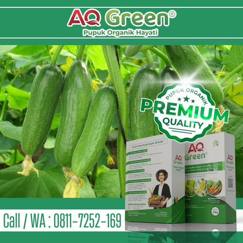 TERBUKTI AMAN, Call WA 0811 7252 169 Toko pupuk organik buatan sendiri di Lampung Timur.jpg