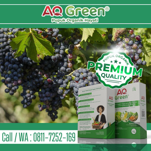 BELI SEKARANG, Call WA 0811 7252 169 Pabrik pupuk organik biosea di Lampung Timur.jpg