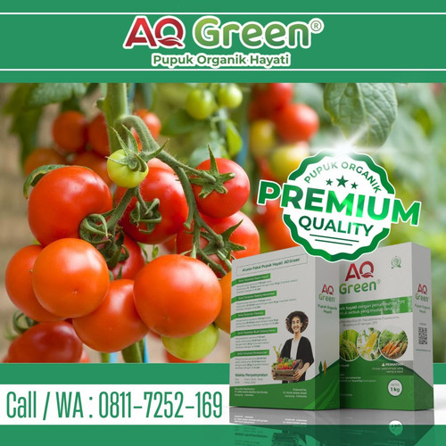TERBUKTI, Call WA 0811 7252 169 Supplier pupuk organik bu8 di Lampung Timur.jpg