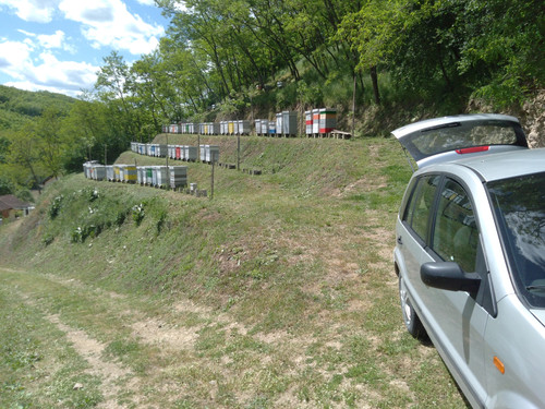 30.05.22. pcelinjak.jpg