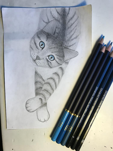 88A2F566 3053 4CEB 9F23 8DC582437C6C.jpg