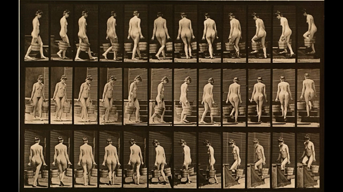 Eadweard Muybridge's 160 animal locomotions.mkv 20190914 153733.772.png