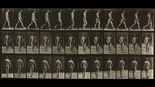 Eadweard Muybridge's 160 animal locomotions.mkv 20190914 153708.944.png