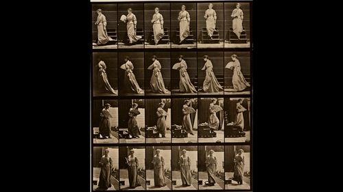 Eadweard Muybridge's 160 animal locomotions.mkv 20190914 153752.914.png