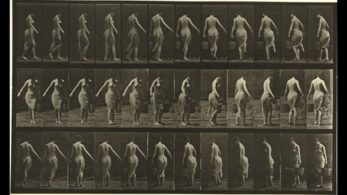 Eadweard Muybridge's 160 animal locomotions.mkv 20190914 153717.385.png