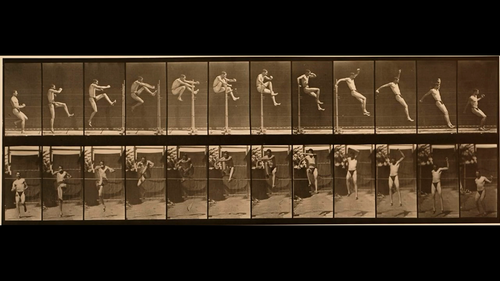 Eadweard Muybridge's 160 animal locomotions.mkv 20190914 153807.595.png