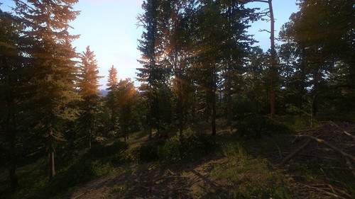 Kingdom Come Deliverance Screenshot 2019.09.17 00.56.30.30.jpg