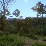 Kingdom Come Deliverance Screenshot 2019.09.17 01.04.49.46