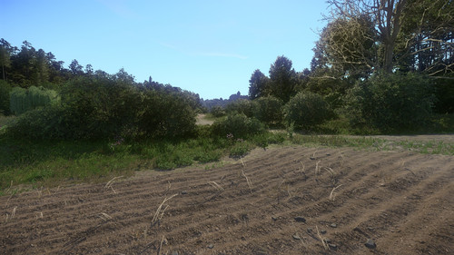 Kingdom Come Deliverance Screenshot 2019.09.17 01.07.51.57.jpg