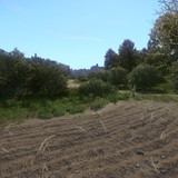 Kingdom Come Deliverance Screenshot 2019.09.17 01.07.51.57