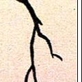 rupert1 22.png