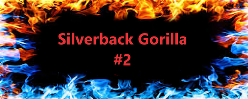 Silverback Gorilla #2.png