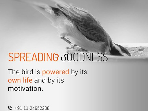 NGO in Delhi NCR.jpg