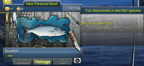 bluefishmax.png