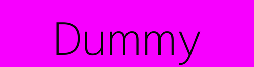 080808&text=Dummy (2).png