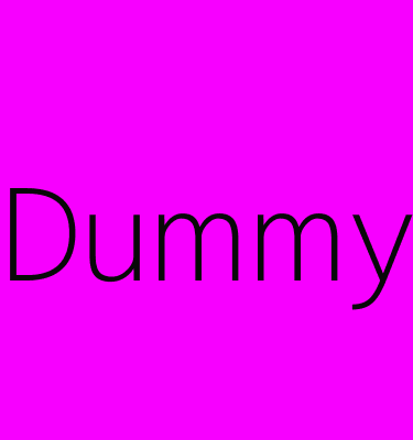 080808&text=Dummy (3).png