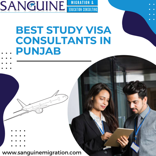 Best study visa consultants in Punjab.png