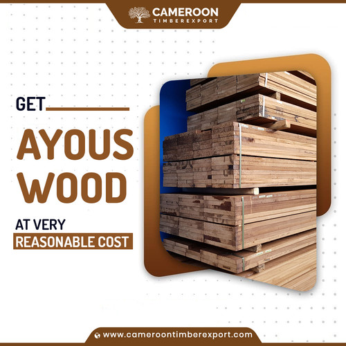 130 Ayous Wood.jpg