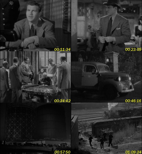 El cuervo (Contratado para matar)