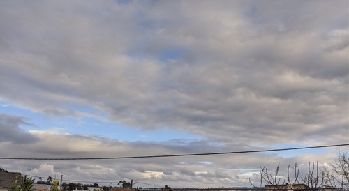 IMG 20220301 170125.jpg