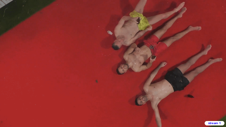 E5F3Bf.gif