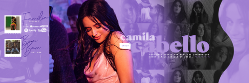 Teamcamilaindia.png