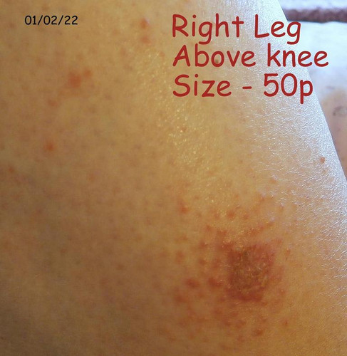 OLYMPUS DIGITAL CAMERA.jpg