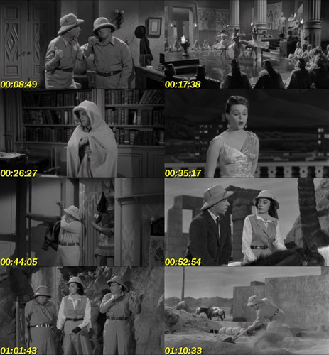 Abbott y Costello contra la momia