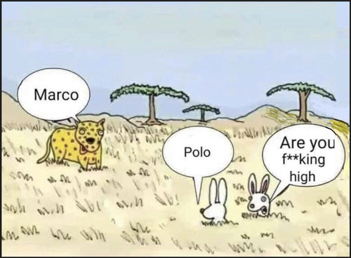 C304C42B 05A9 4C25 97BF 0E3CF03A05B2.jpg