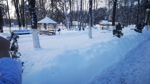 Paul McCarthy Cork.jpg