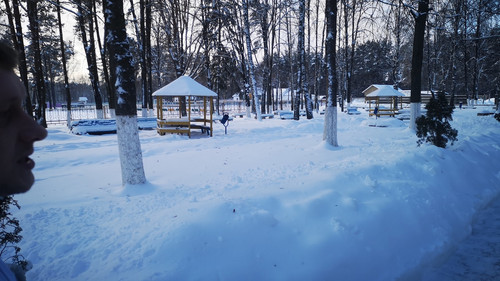 Paul McCarthy Cork.jpg