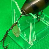 IMG 4735