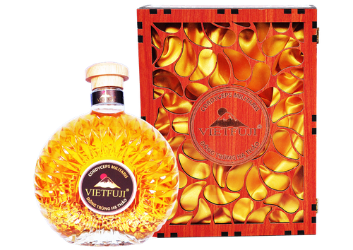 1615777580 xo500ml 01.png