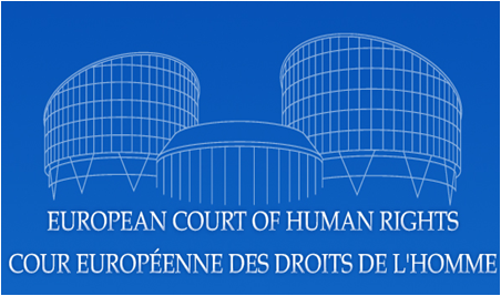 2022 წლის თებერვლიდან ევროპული სასამართლოსადმი მიმართვის ვადები მცირდება