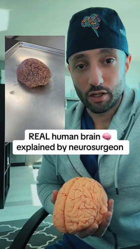 L8Rm KNhUh5CV3TG.jpg