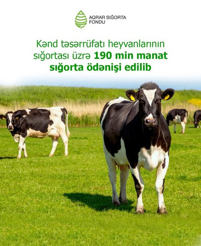 515491148 1137352735092243 5898771247363368548 n.jpg?stp=dst jpg s640x640 tt6& nc cat=110&ccb=1 7& n.jpg