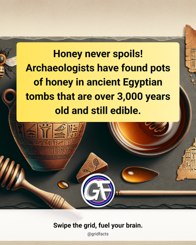 3dfe9f68 f65b 4c34 8bc1 0d100e4f7ad5.png