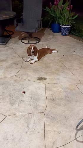 MWpsmTa zCa STXo.jpg