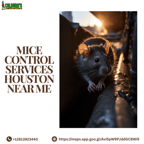 Mice Control Services Houston Near Me – Fast & Reliable Solutions.png