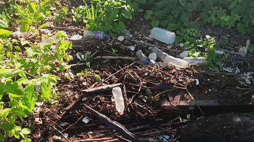 hLoT9Y uwWLDvzcP.jpg