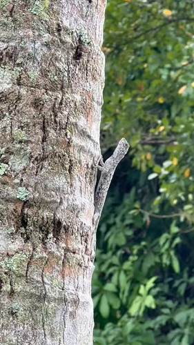 UqoauM4 kA0DQo8h.jpg